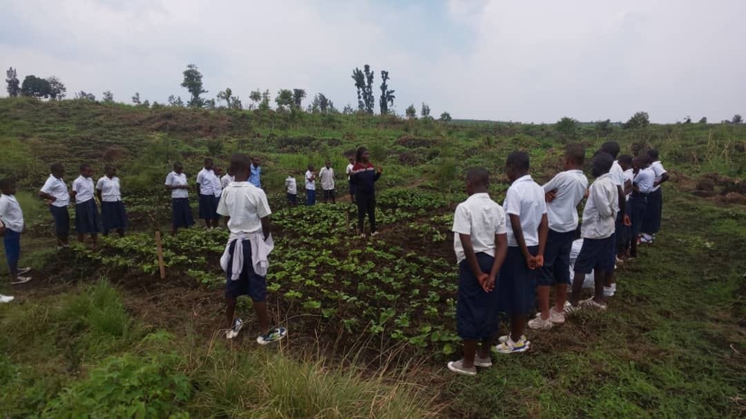 Des champs écoles pour transmettre aux enfants les techniques de culture du haricot à Nyiragongo